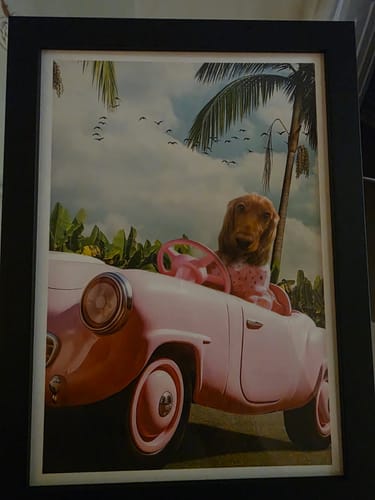 Customer photo review of The Toy Princess - Custom Pet Portrait