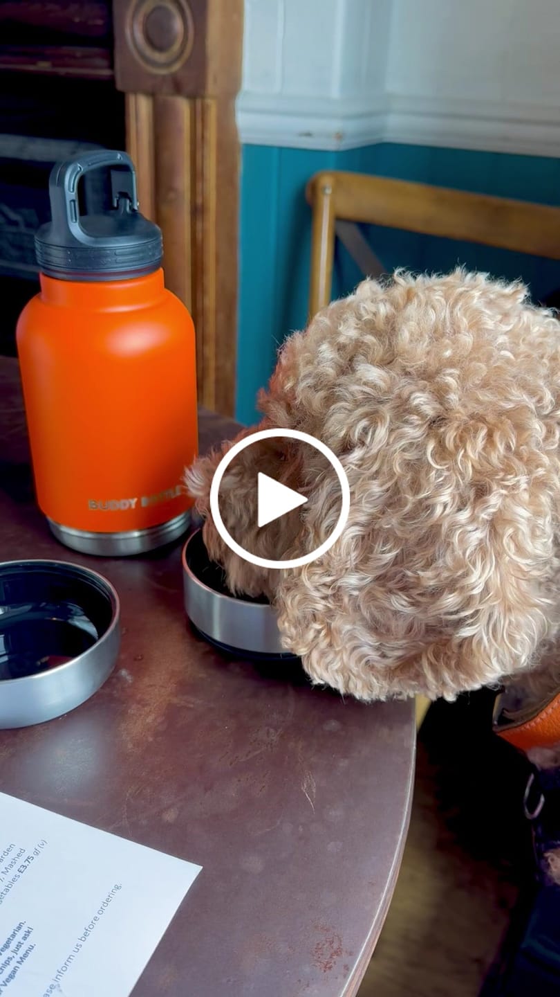 Customer video review of BUDDY BOTTLE™   3-in-1  Dog Water Bottle