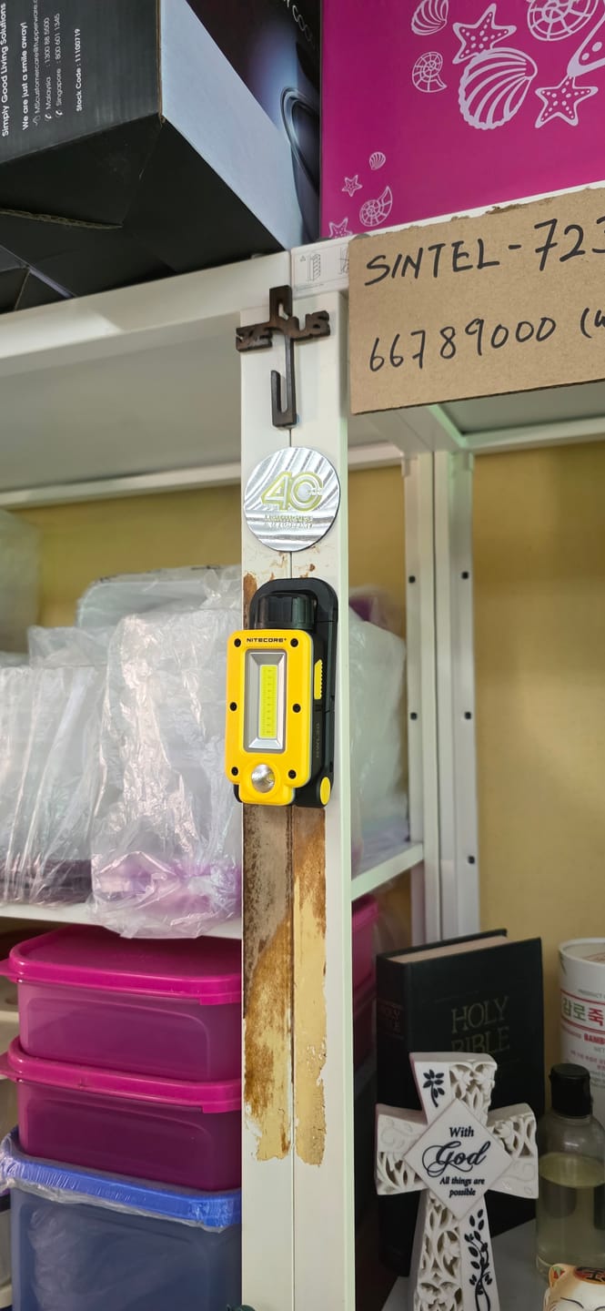 Customer photo review of NWL20 - 600 lumens
