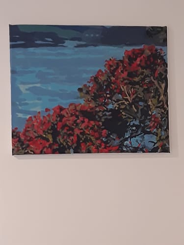 Customer photo review of Pohutukawa Tree