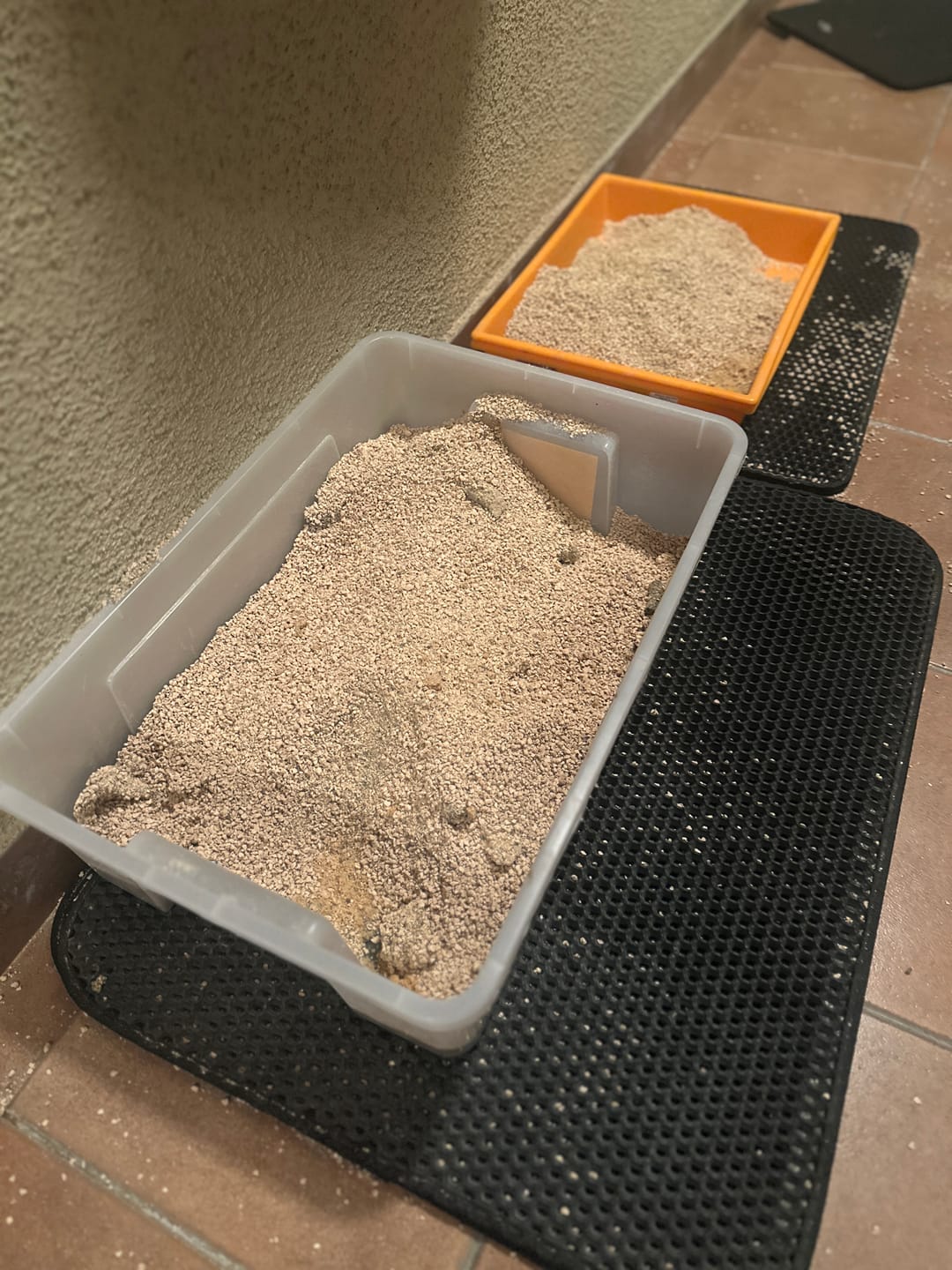 Customer photo review of Pack Cosycat 8,6 + 8,6 kg
