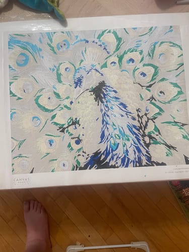 Customer photo review of Royal Peacock