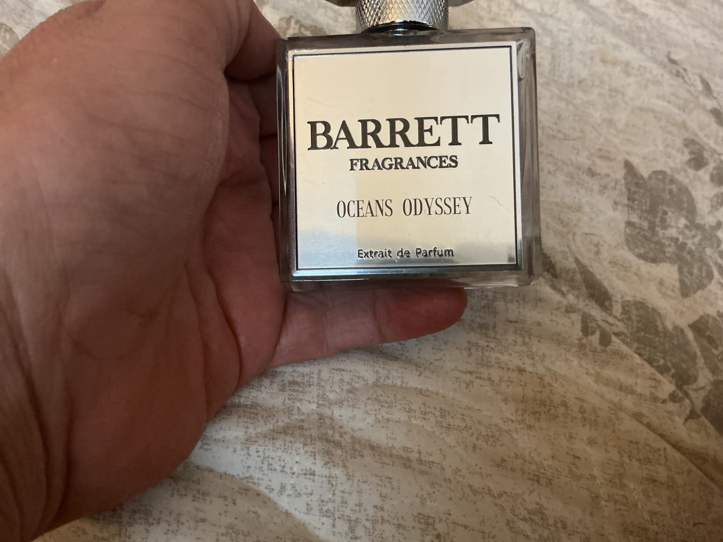 Customer photo review of Oceans Odyssey inspired by Voyage