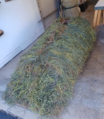 undefined review of Hunting Blind Raffia Grass (Individual) image 1 out of 1