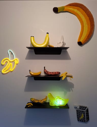 Customer photo review of FOLD Ledge 450