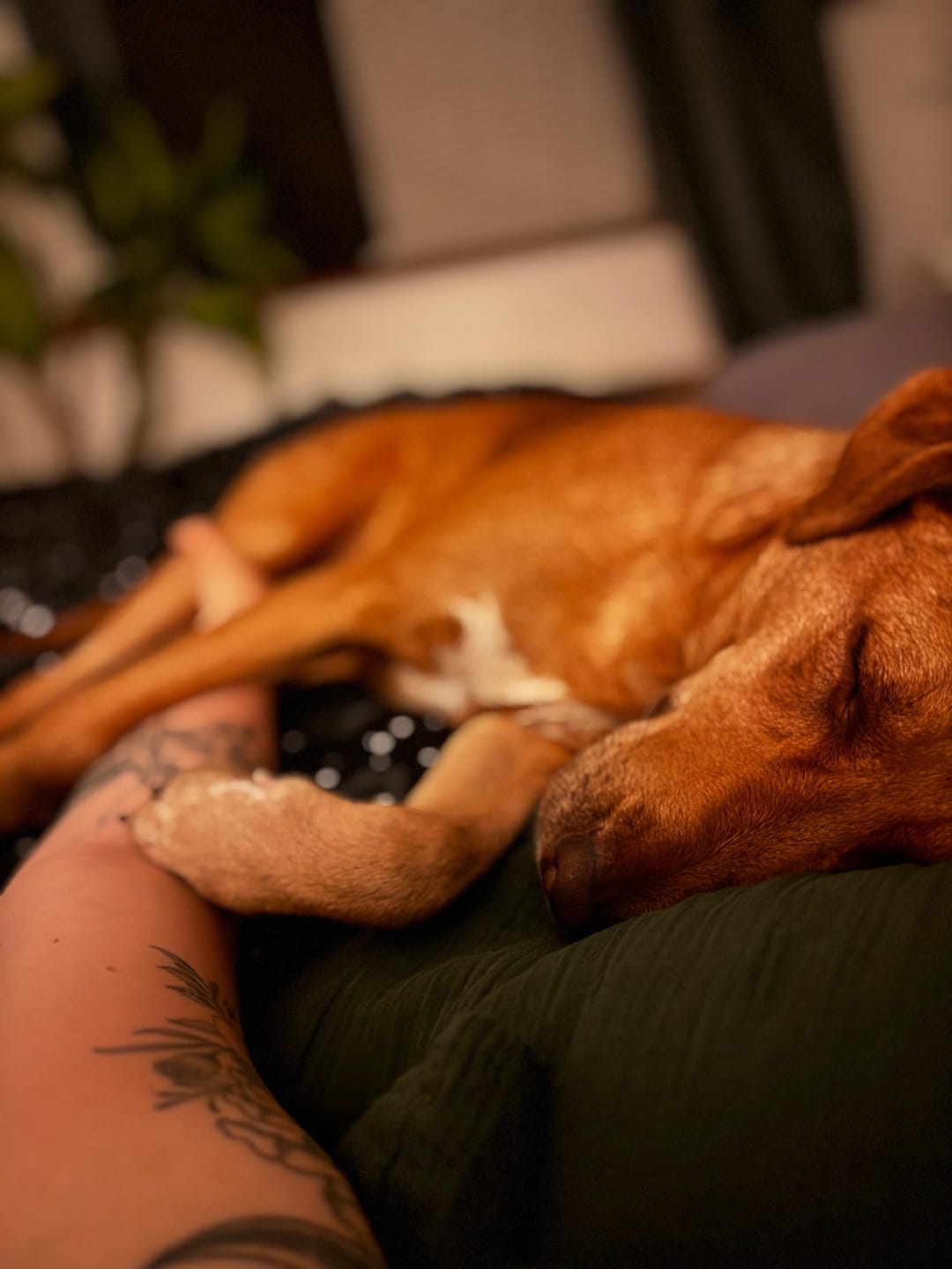 Customer photo review of Calm n' Relax: Für Ruhe & Entspannung