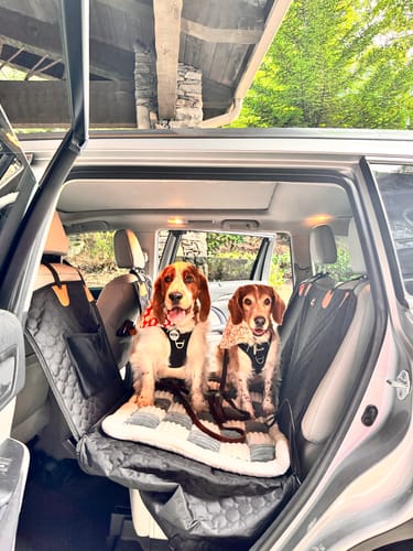 Customer photo review of RuffRover 2.0™ - Hard Bottom Back Seat Extender + (FREE Dog Bed)