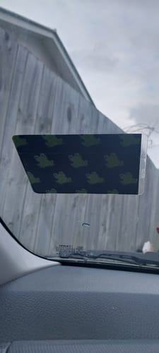 Customer photo review of Frogs