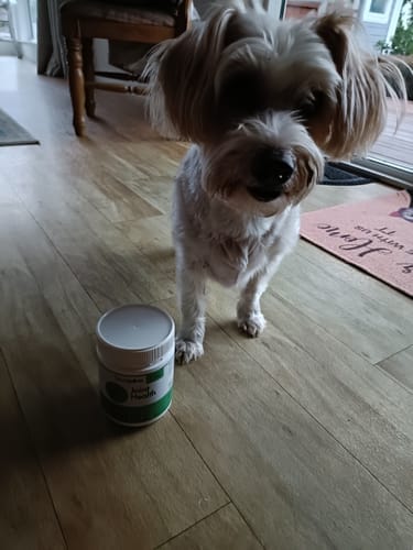 Customer photo review of Hip & Joint Health Chews for Dogs