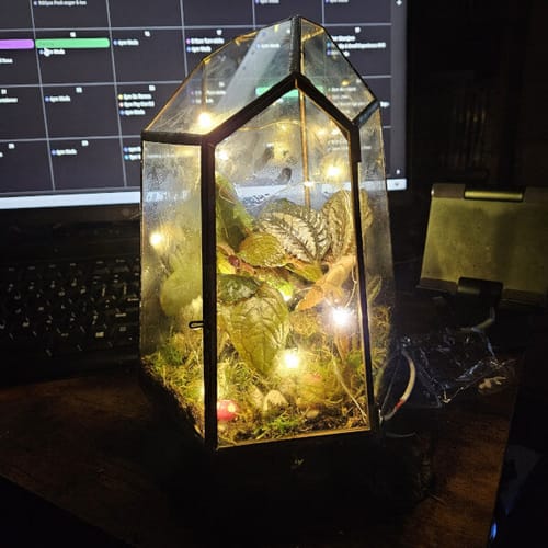 Review photo by Anthony Mejias