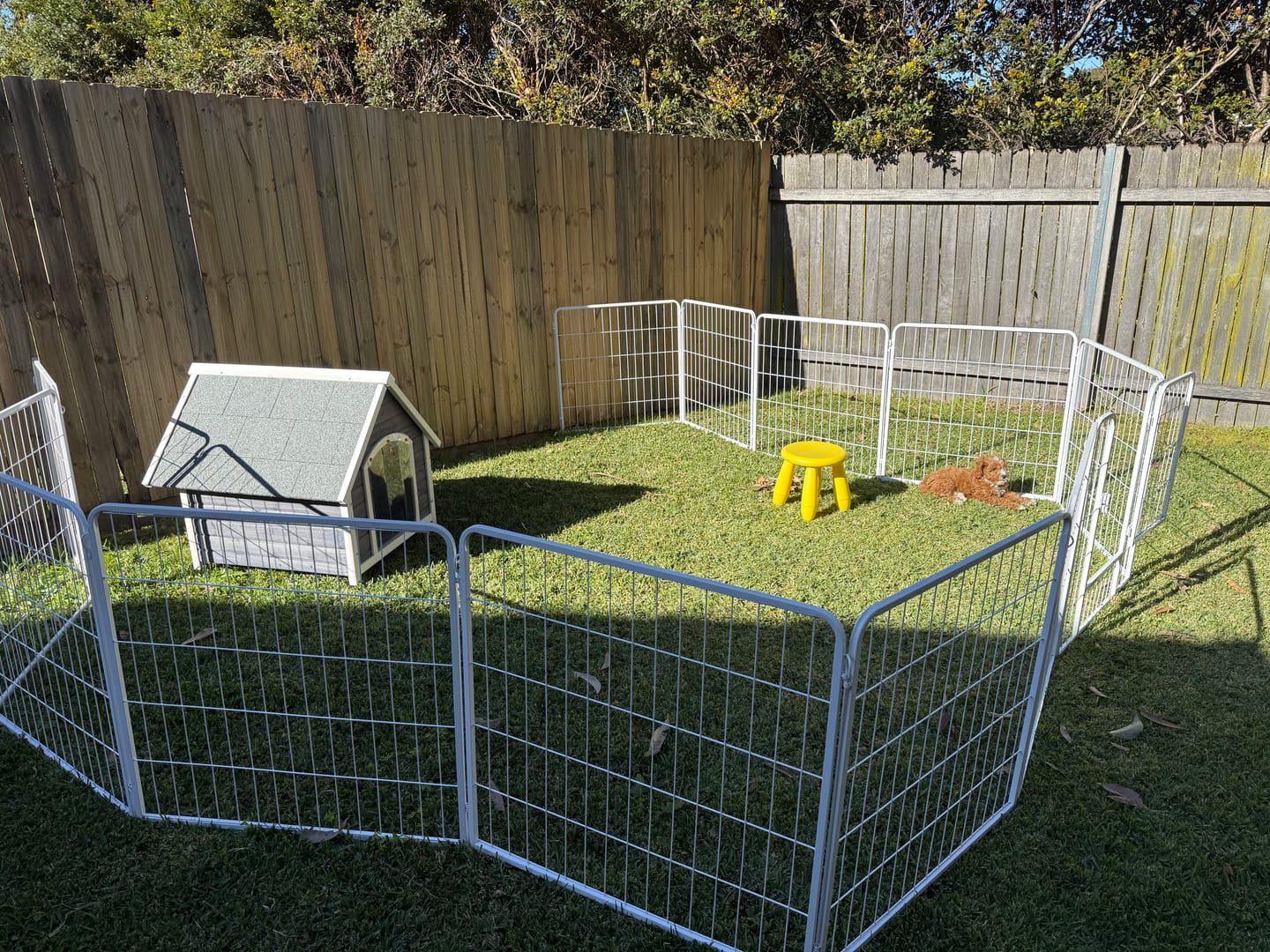 Customer photo review of PaWz 8 Panel Playpen White