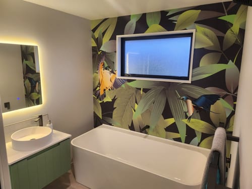 Customer photo review of Kingfisher - NZ Custom Sized Wallpaper Mural (per m2)
