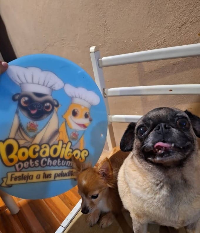 Customer photo review of Logo con Impresión UV