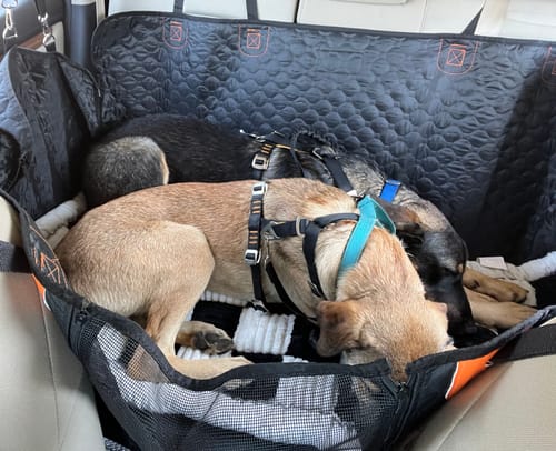 Customer photo review of RuffRover 2.0™ - Hard Bottom Back Seat Extender + (FREE Dog Bed)
