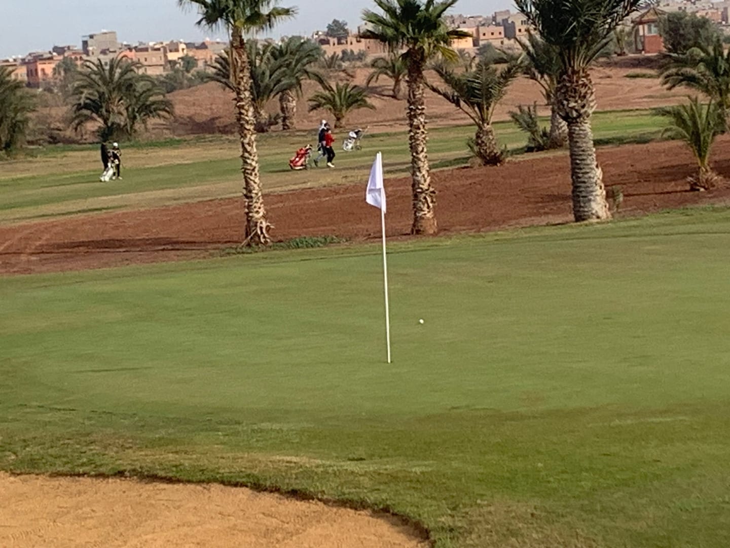 Customer photo review of Titleist - Pro V1x