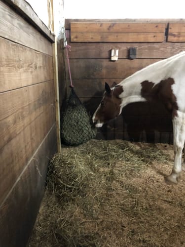 Customer photo review of Hay Chix® Half Bale Net