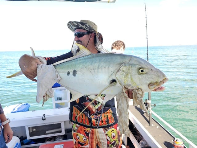 Customer photo review of 30 lb - Pre-tied dropper loop rigs