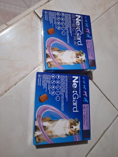 Customer photo review of Nexgard Spectra® 3 masticables