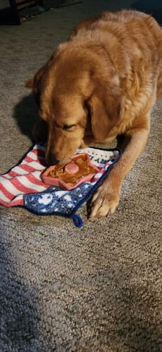 Customer photo review of The Favorite Bundle: 3 Tough Bones Dogs Can’t Get Enough Of