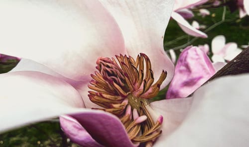 Customer photo review of 7x14 Giclee Fine Art Prints