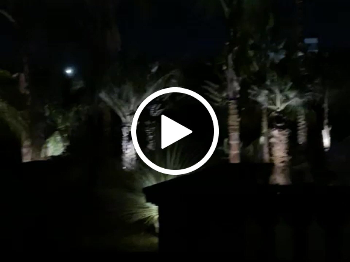 Customer video review of TSUN Solar Spotlights For Trees Warm White