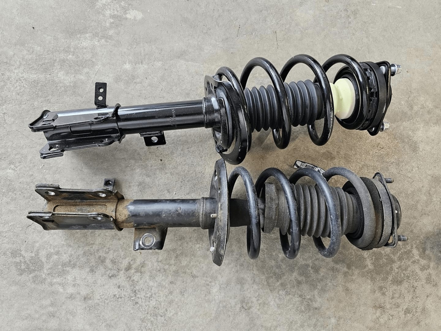 Customer photo review of 2Pcs Front  Complete Struts Shock Absorber for 1995-2004 Toyota Tacoma