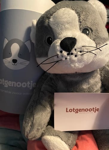 Customer photo review of Lotgenootje Kat 2kg