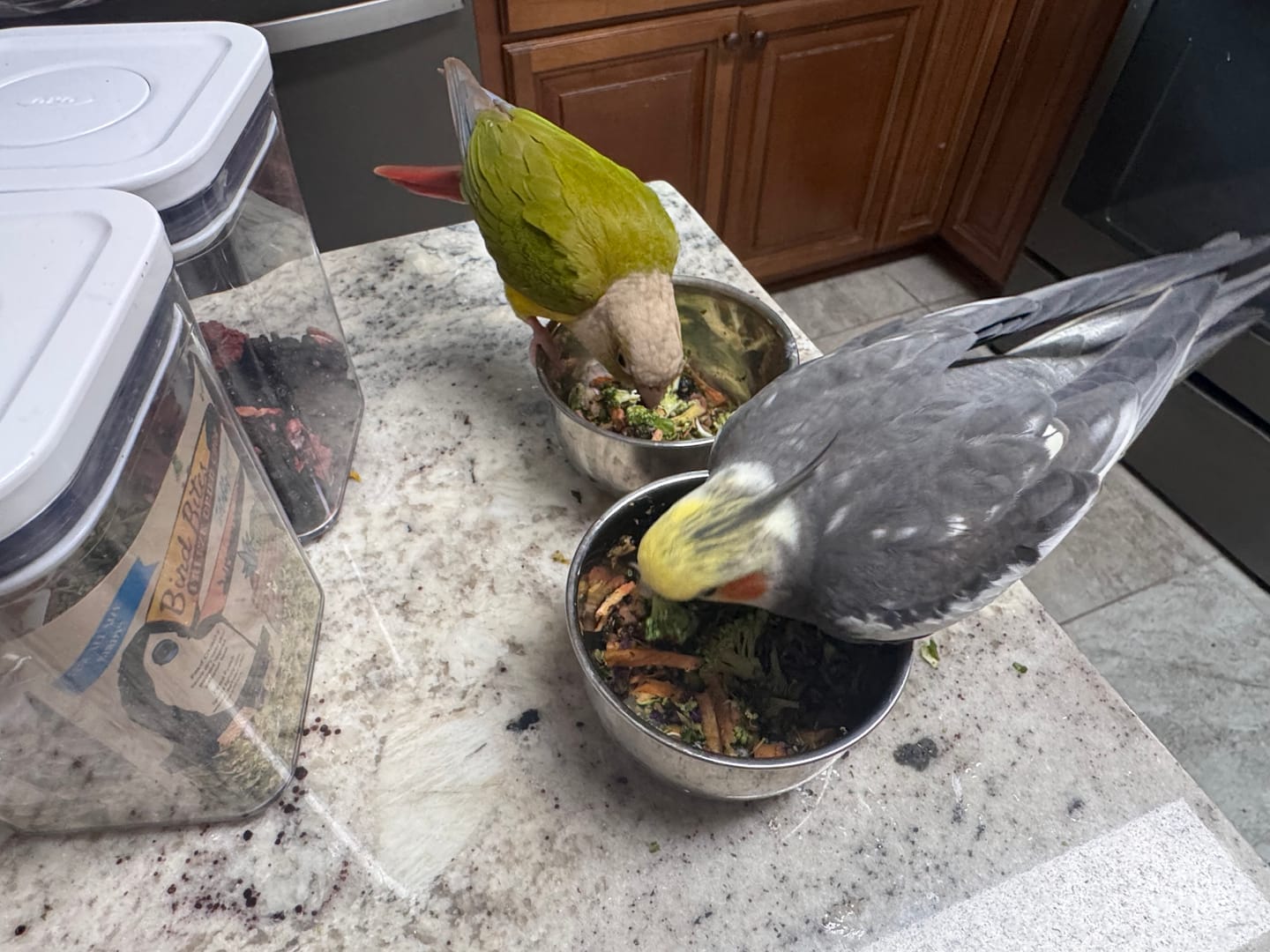 Customer photo review of Bird Bites Freeze Dried Chop - Totally Veggies - No Fruit