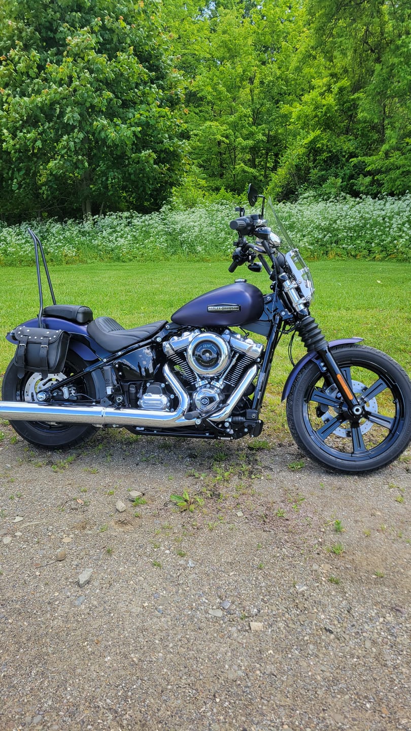 Customer photo review of Iron Born Blade 25" Sissy Bar for Harley Softail Street Bob Matte Black