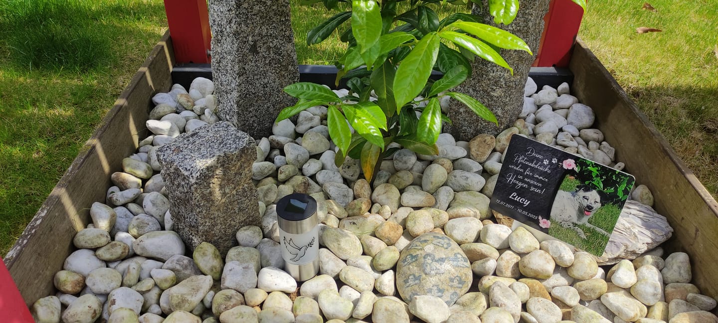 Customer photo review of Schlüsselanhänger-Bundle Tropfen 3x dein Foto für nur 19,90 €