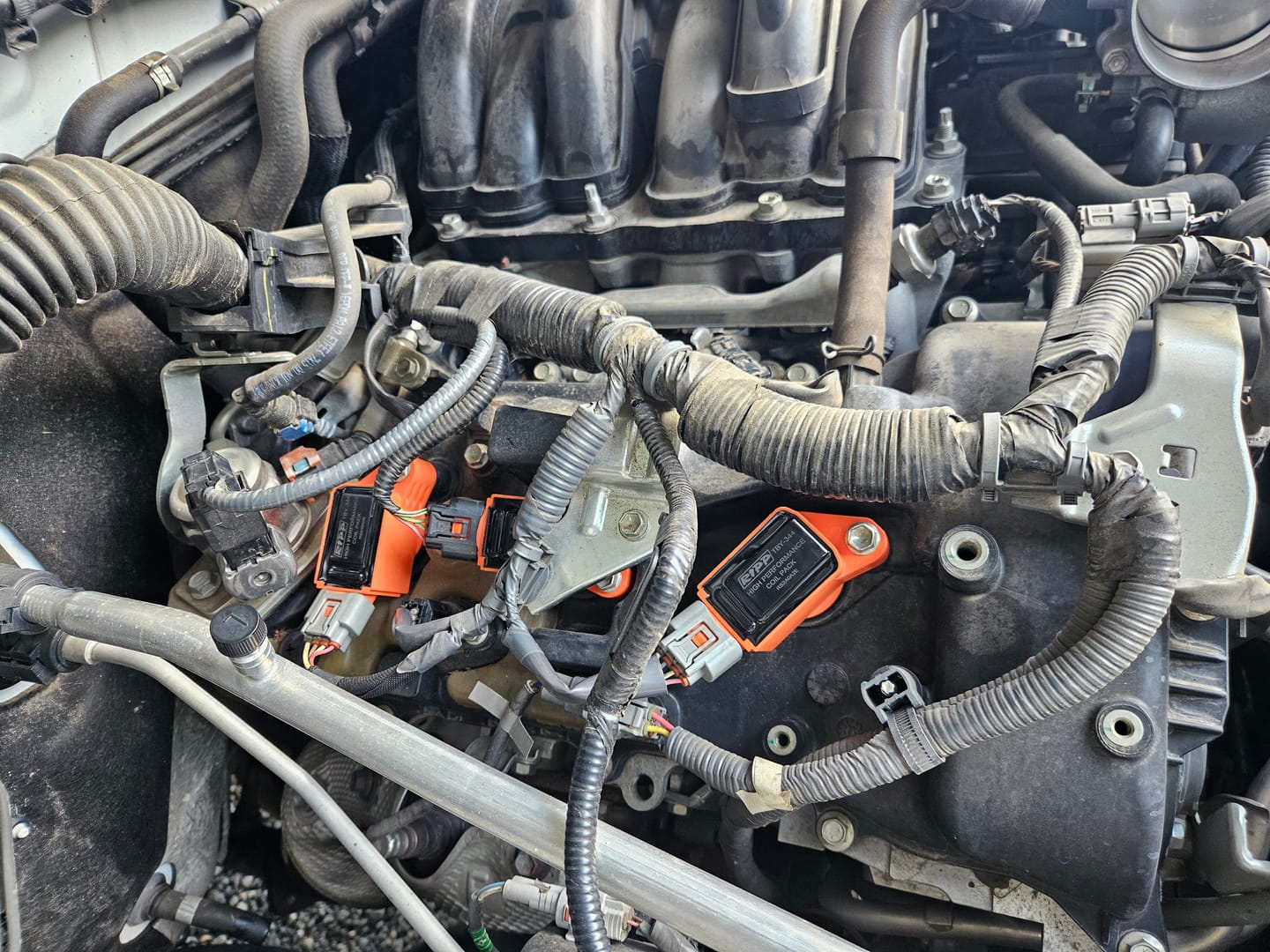 Customer photo review of Toyota / Lexus V6 High Performance Coil Packs