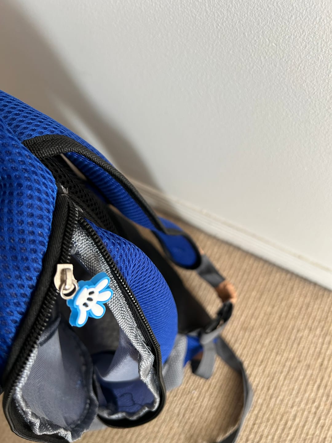 Customer photo review of Dog Backpack