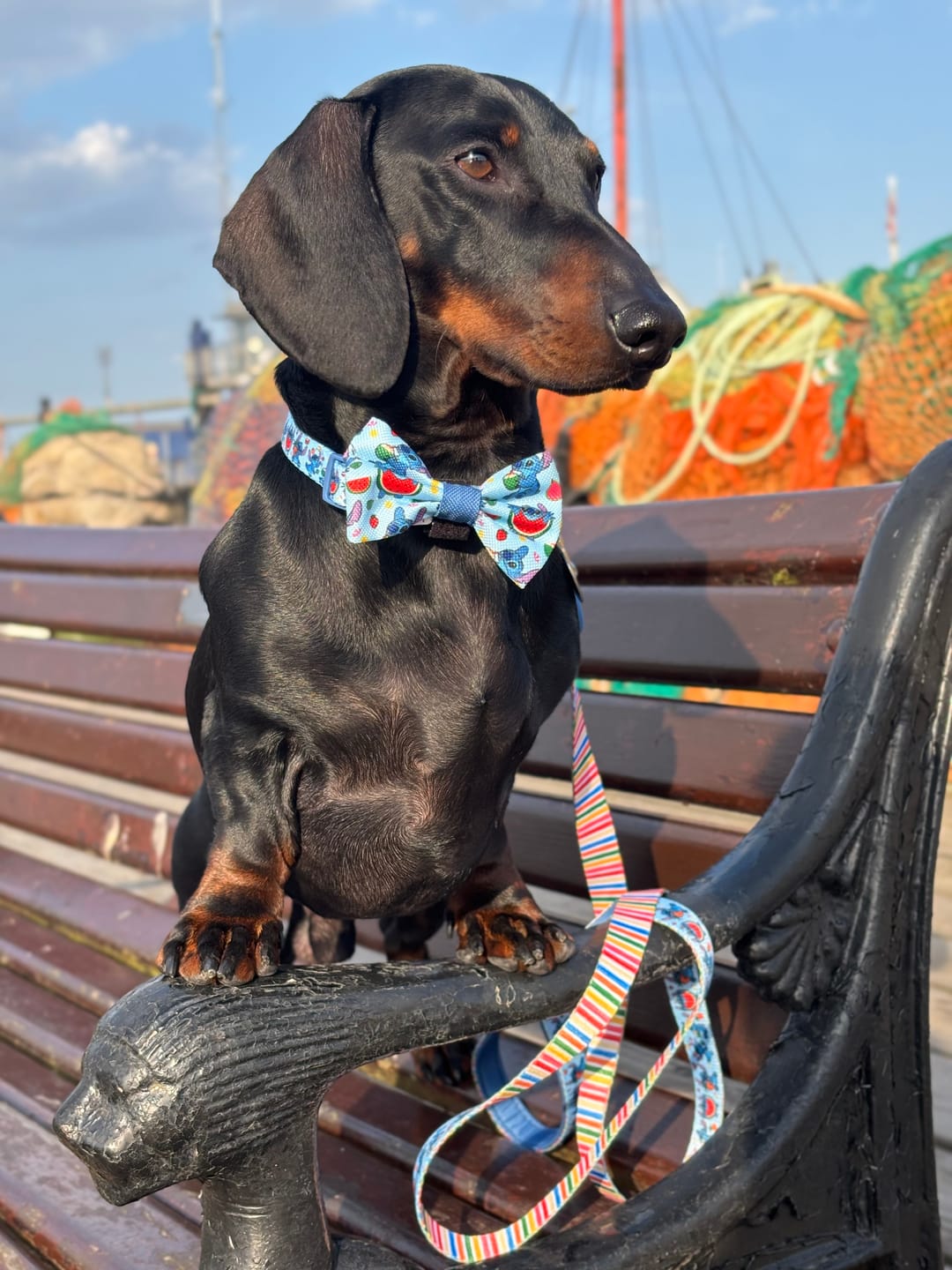 Customer photo review of Disney© Bow Tie - Stitch's Fruit Fiesta