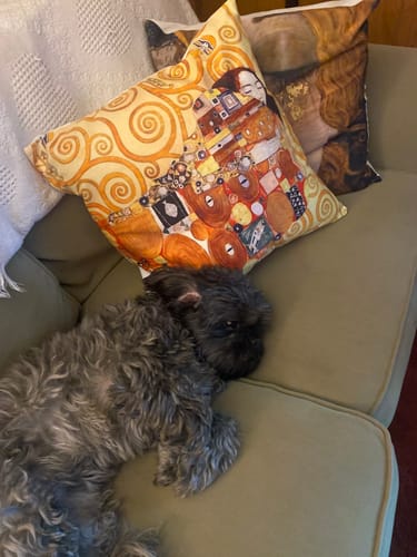 Customer photo review of Gustav Klimt Pillow cases