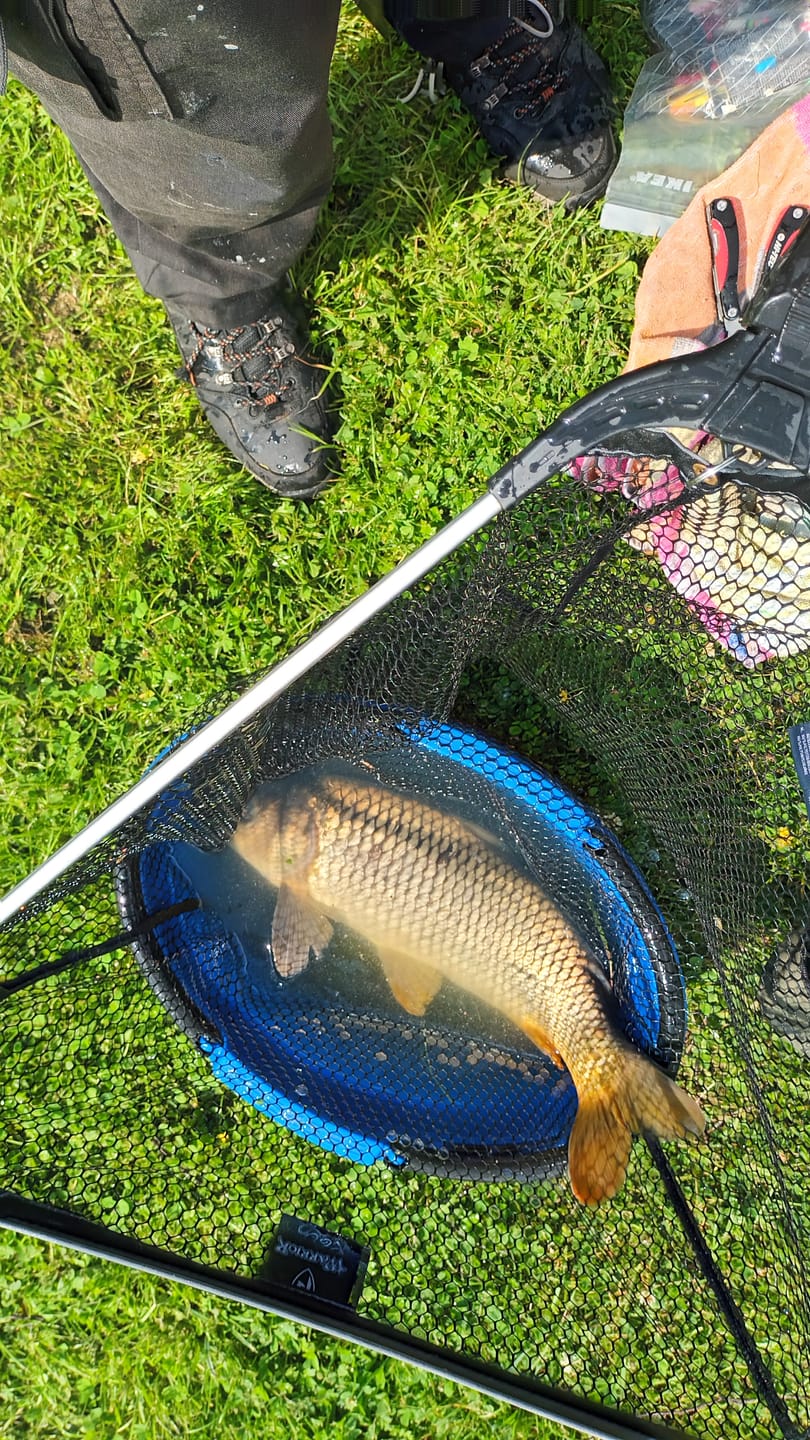 Customer photo review of BAIT BOOSTER 500ml