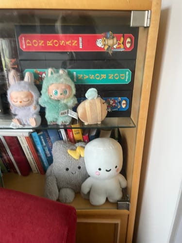 Customer photo review of Pop Mart Labubu The Monsters Big into Energy Series Vinyl Plush Pendant Sealed Case Blind Box