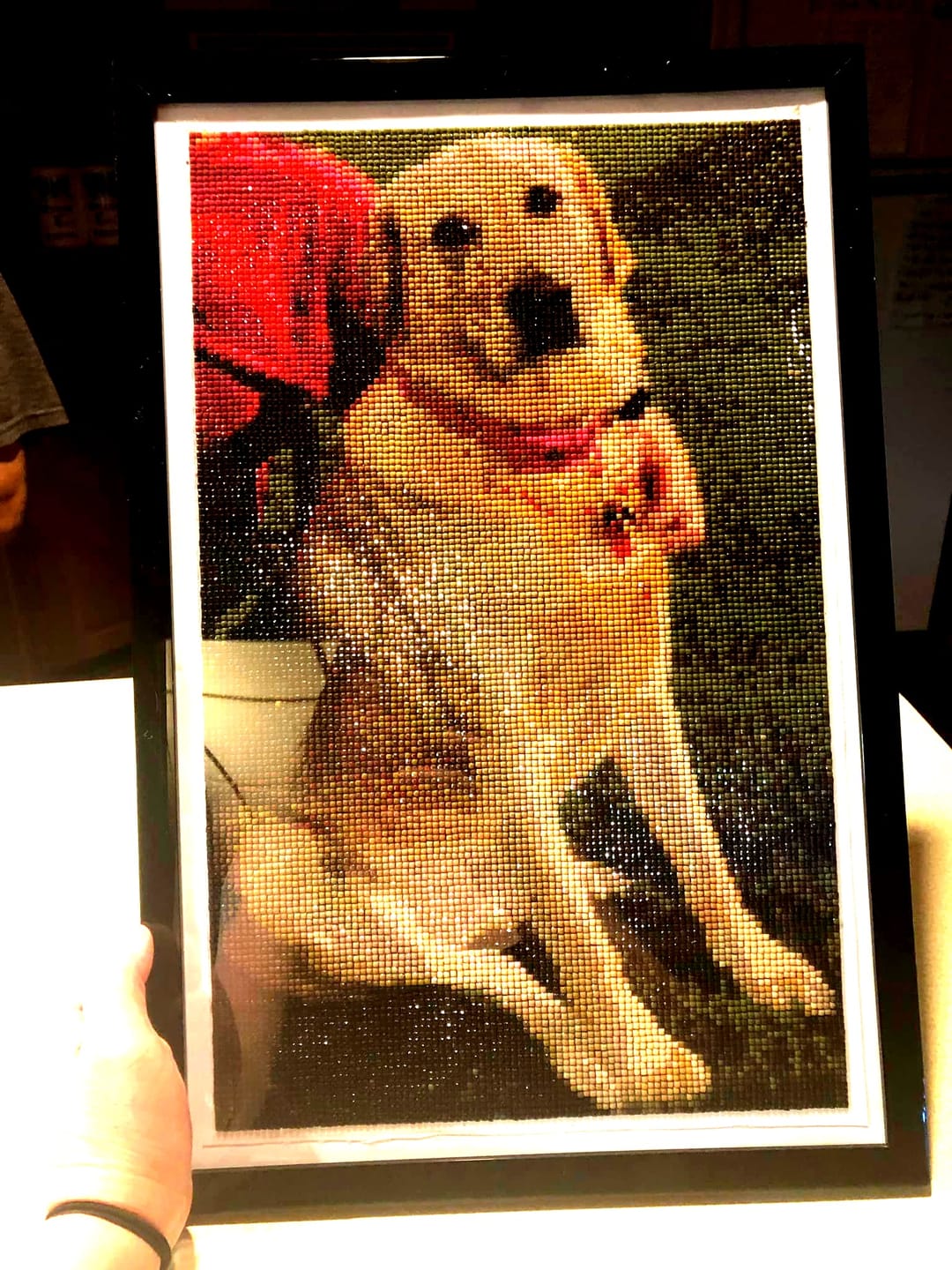 Customer photo review of DIAMOND PAINTING MED DIT EGET FOTO