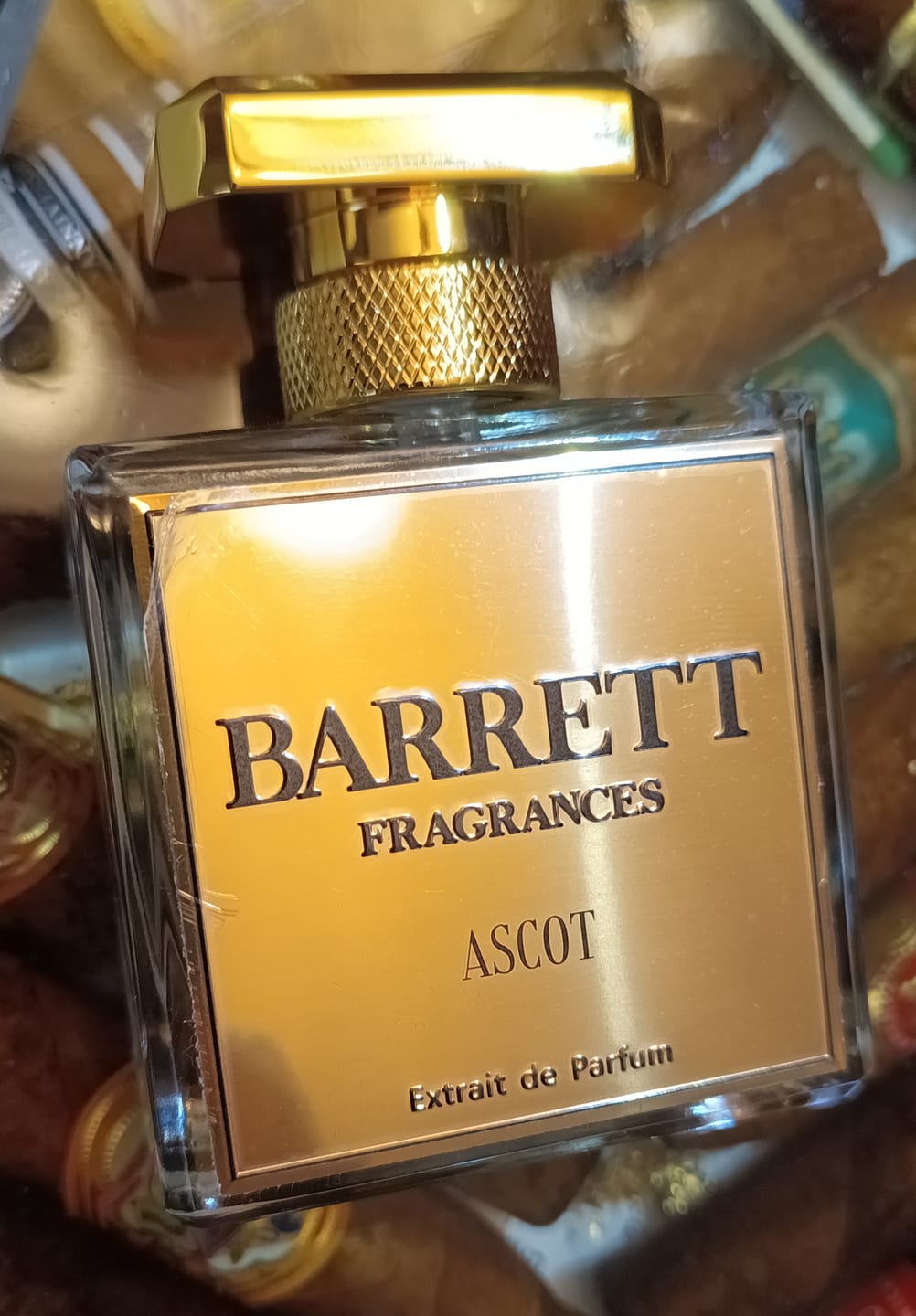 Customer photo review of Ascot inspired by Erolfa
