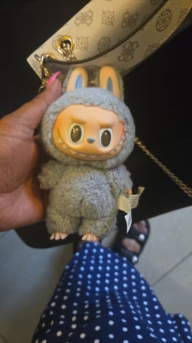 Customer photo review of Pop Mart Labubu The Monsters Tasty Macarons Vinyl Face Blind Box