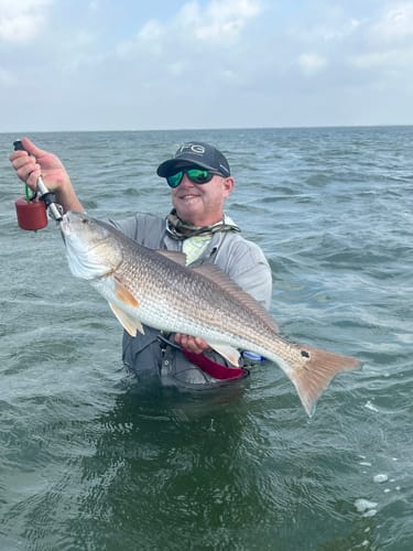 Customer photo review of VMC 9650 Round Bend Treble Size #4 25 Pack
