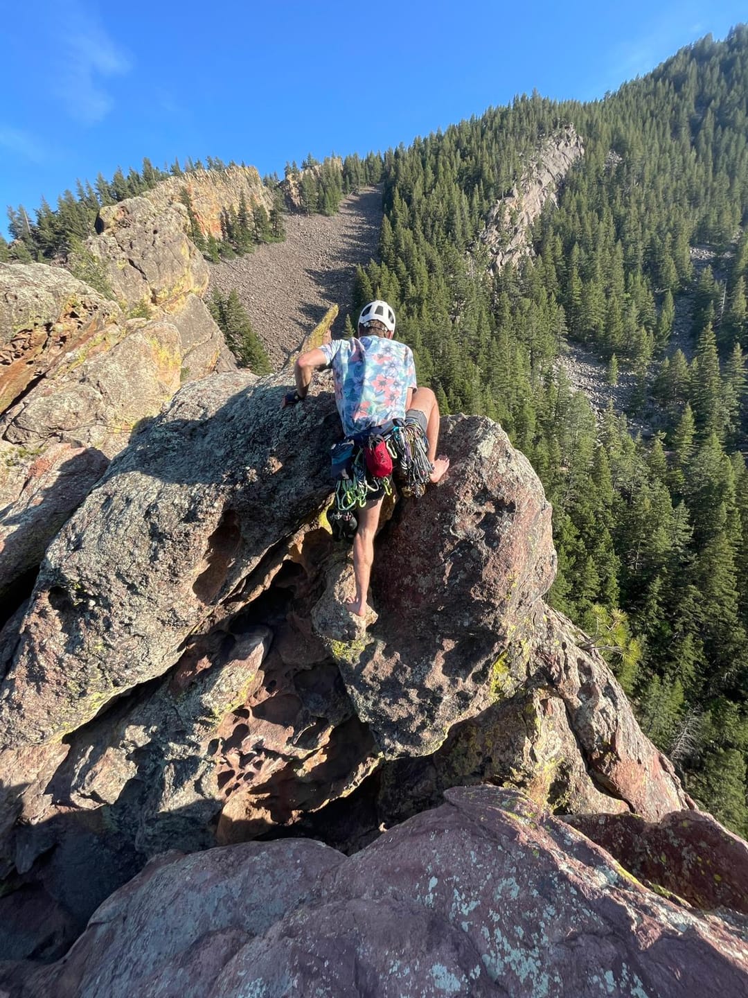 Customer photo review of "Snack Pack" Multipitch Storage Pouch