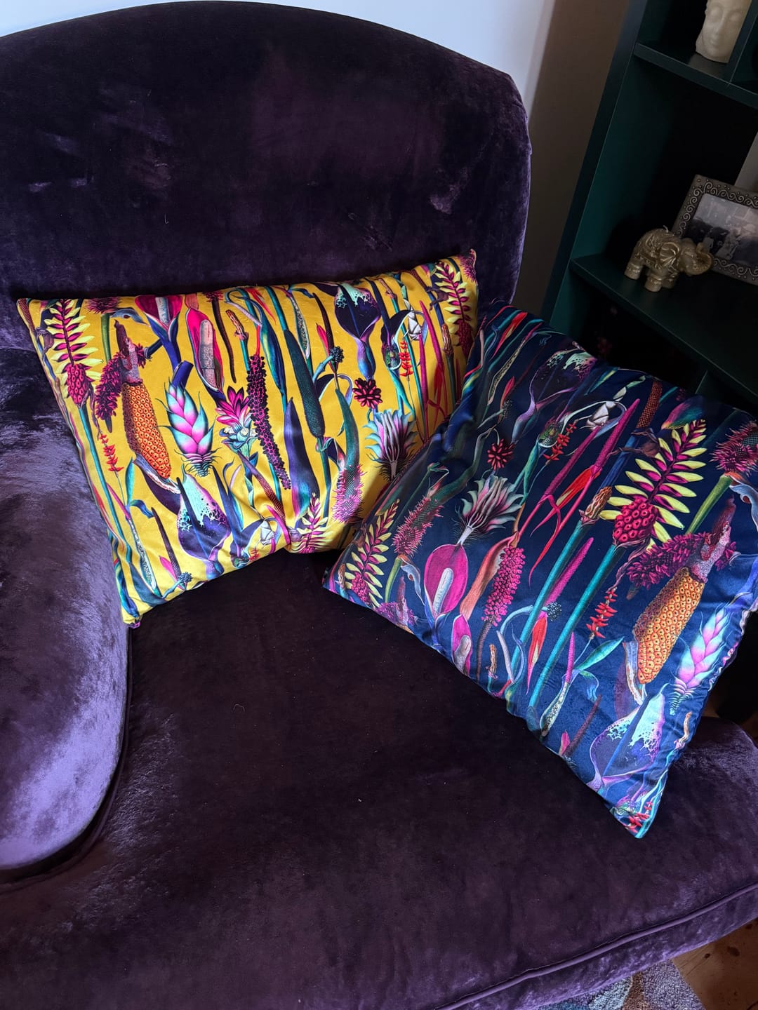 Customer photo review of Abstract Plants Digital Velvet Fabric