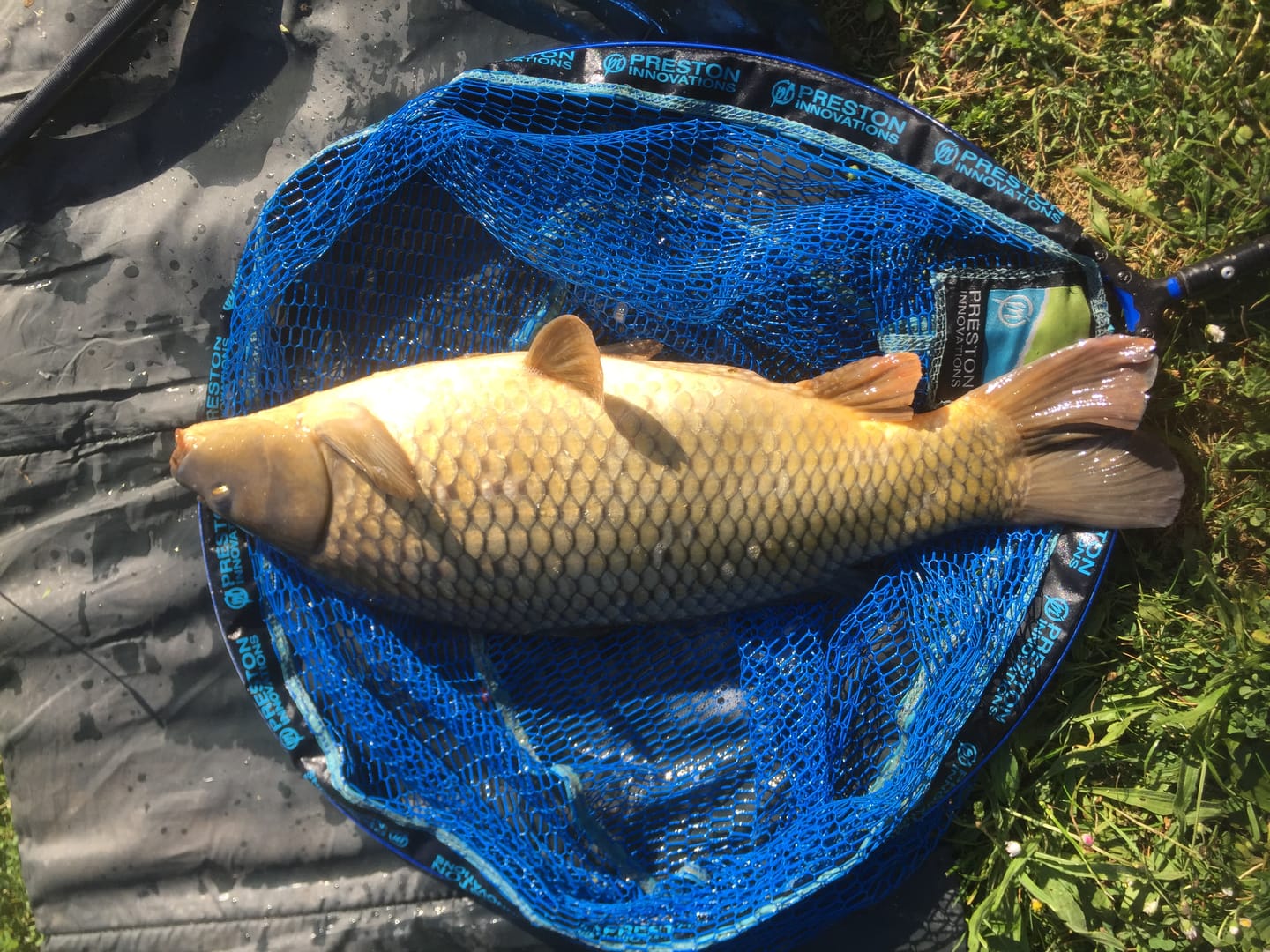 Customer photo review of PREMIUM COARSE PELLETS - ALLTECH COPPENS