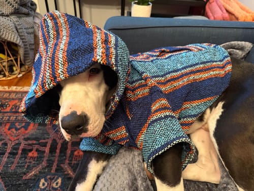 Customer photo review of Playa Poncho - Surprise Color