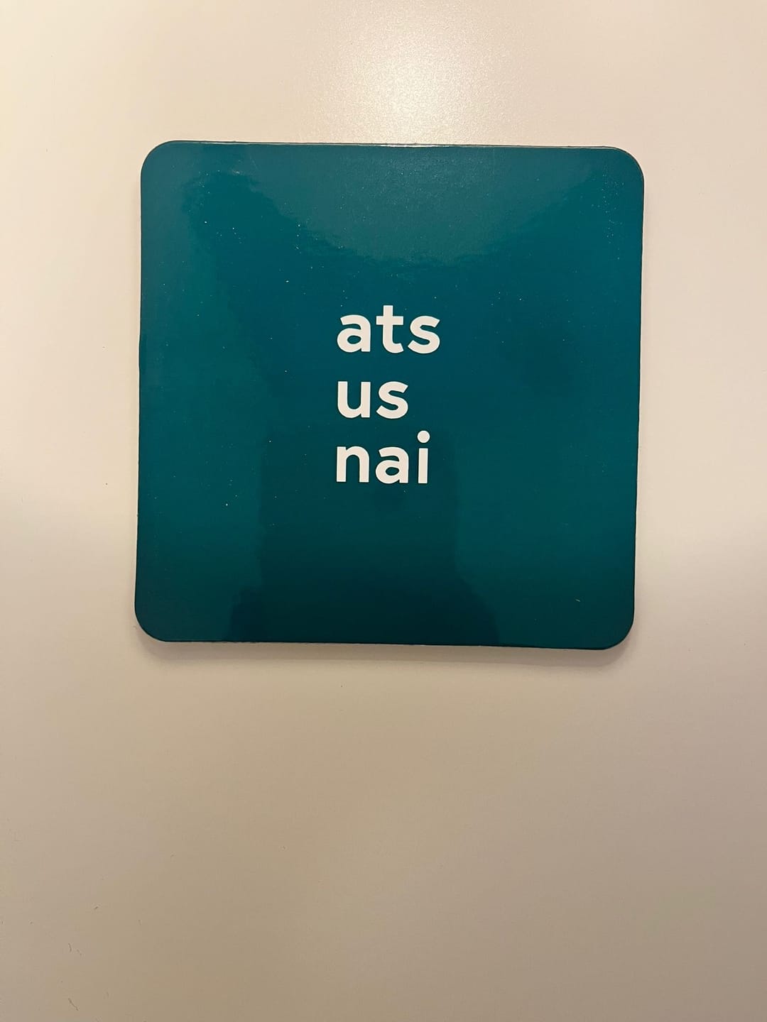 Customer photo review of Ats Us Nai Coaster | Born & Bred