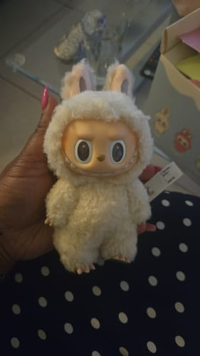 Customer photo review of Pop Mart Labubu The Monsters Tasty Macarons Vinyl Face Blind Box