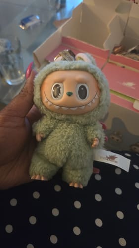 Customer photo review of Pop Mart Labubu The Monsters Tasty Macarons Vinyl Face Blind Box