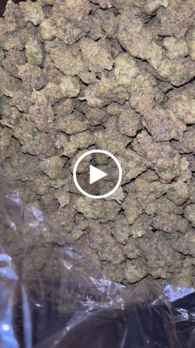 Customer video review of Icy Pop  - Bulk Littles - Hybrid