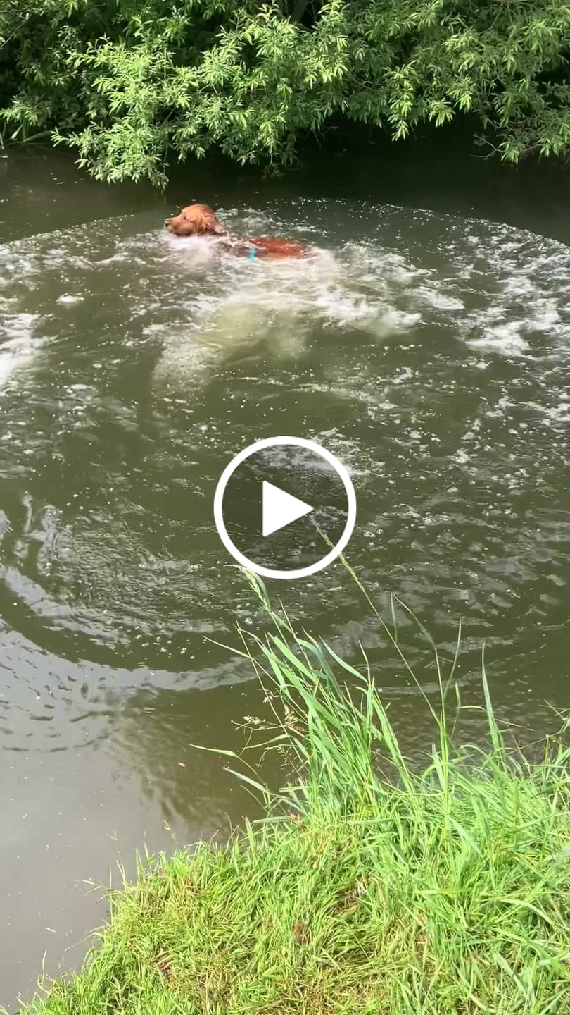 Customer video review of Tidal Waterproof Grab Handle