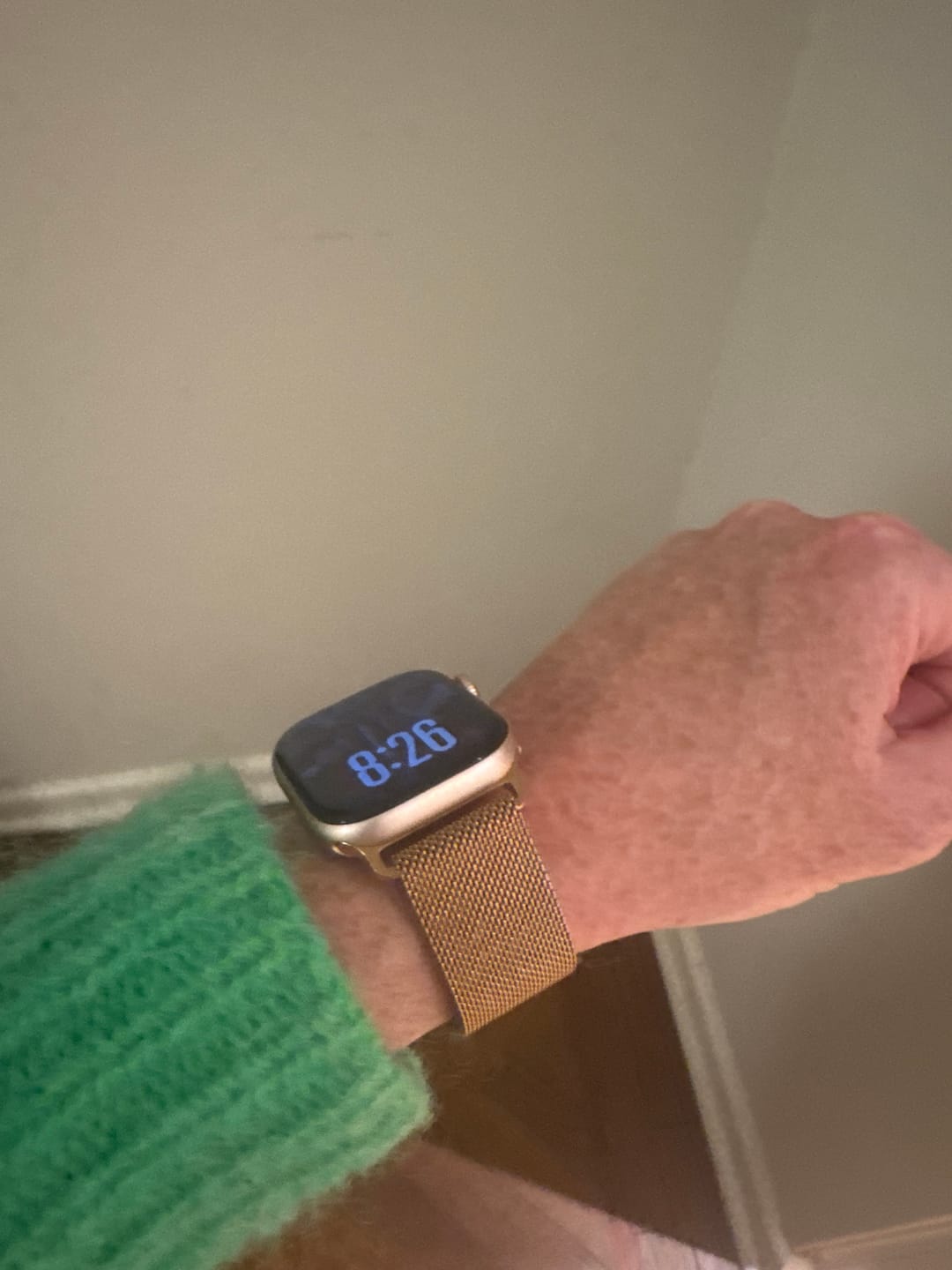Customer photo review of Milanese Loop